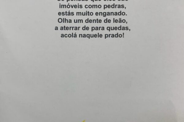 Primavera e Dia Mundial da Poesia (13)