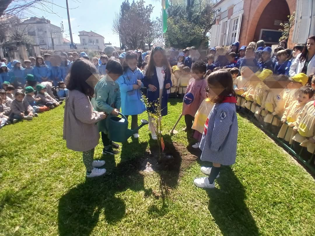 A Plantação da Romãzeira