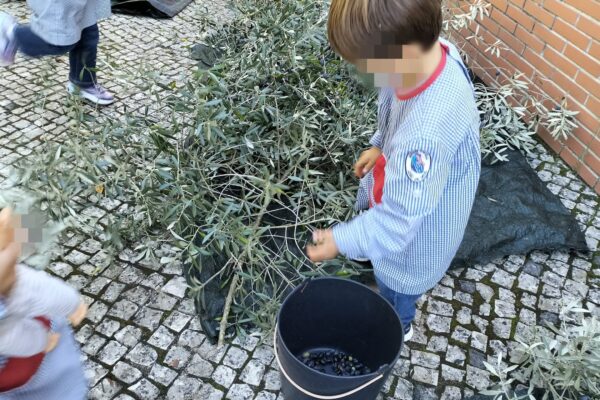 WhatsApp Image 2025-10-31 at 15.52.37 (1) WhatsApp Image 2025-10-31 at 15.52.37 (1)