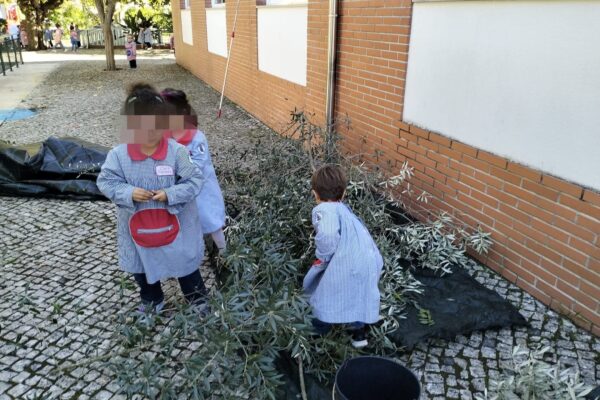 WhatsApp Image 2025-10-31 at 15.52.37 WhatsApp Image 2025-10-31 at 15.52.37