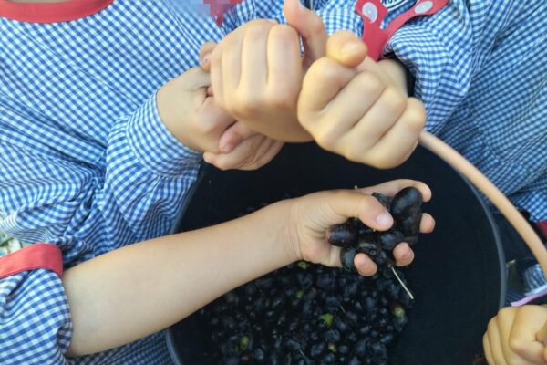 WhatsApp Image 2025-10-31 at 15.52.38 (1) WhatsApp Image 2025-10-31 at 15.52.38 (1)