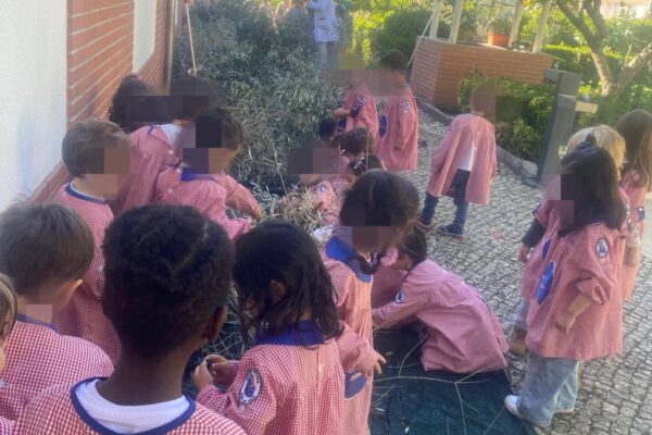 WhatsApp Image 2025-10-31 at 15.52.38 (2) WhatsApp Image 2025-10-31 at 15.52.38 (2)