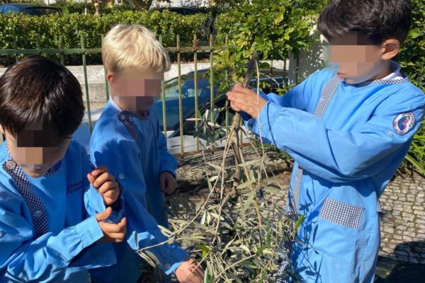 WhatsApp Image 2025-10-31 at 15.52.38 (3) WhatsApp Image 2025-10-31 at 15.52.38 (3)