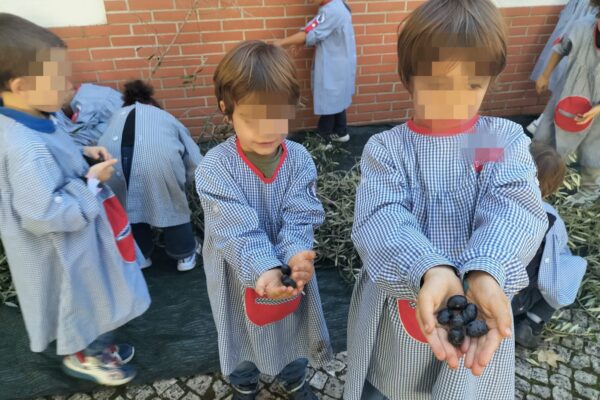 WhatsApp Image 2025-10-31 at 15.52.38 WhatsApp Image 2025-10-31 at 15.52.38