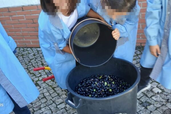 WhatsApp Image 2025-10-31 at 15.52.39 (1) WhatsApp Image 2025-10-31 at 15.52.39 (1)