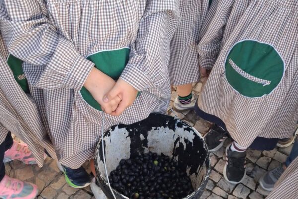 WhatsApp Image 2025-10-31 at 15.52.39 (3) WhatsApp Image 2025-10-31 at 15.52.39 (3)