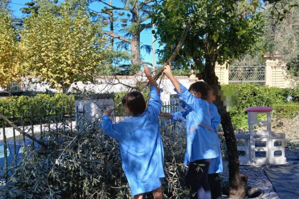 WhatsApp Image 2025-10-31 at 15.52.40 (1) WhatsApp Image 2025-10-31 at 15.52.40 (1)