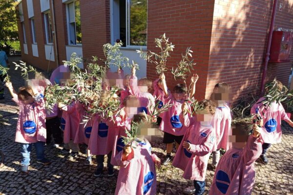 WhatsApp Image 2025-10-31 at 15.52.41 (1) WhatsApp Image 2025-10-31 at 15.52.41 (1)