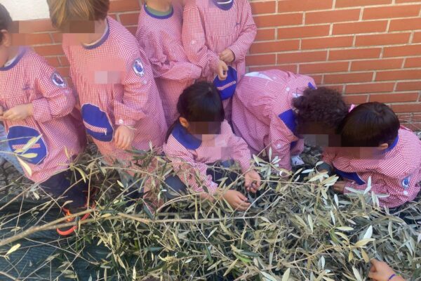 WhatsApp Image 2025-10-31 at 15.52.41 (2) WhatsApp Image 2025-10-31 at 15.52.41 (2)