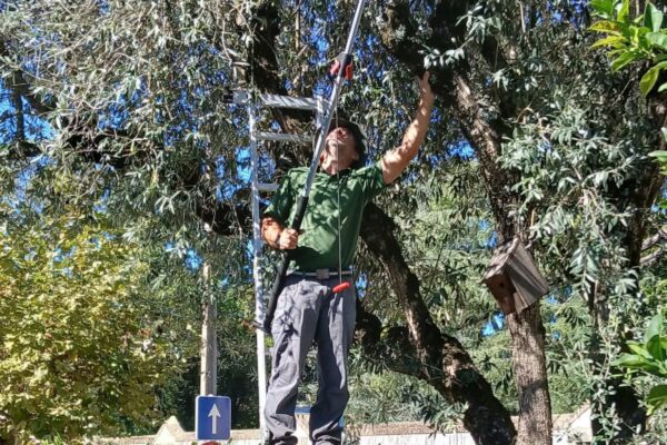 WhatsApp Image 2025-10-31 at 15.52.41 WhatsApp Image 2025-10-31 at 15.52.41