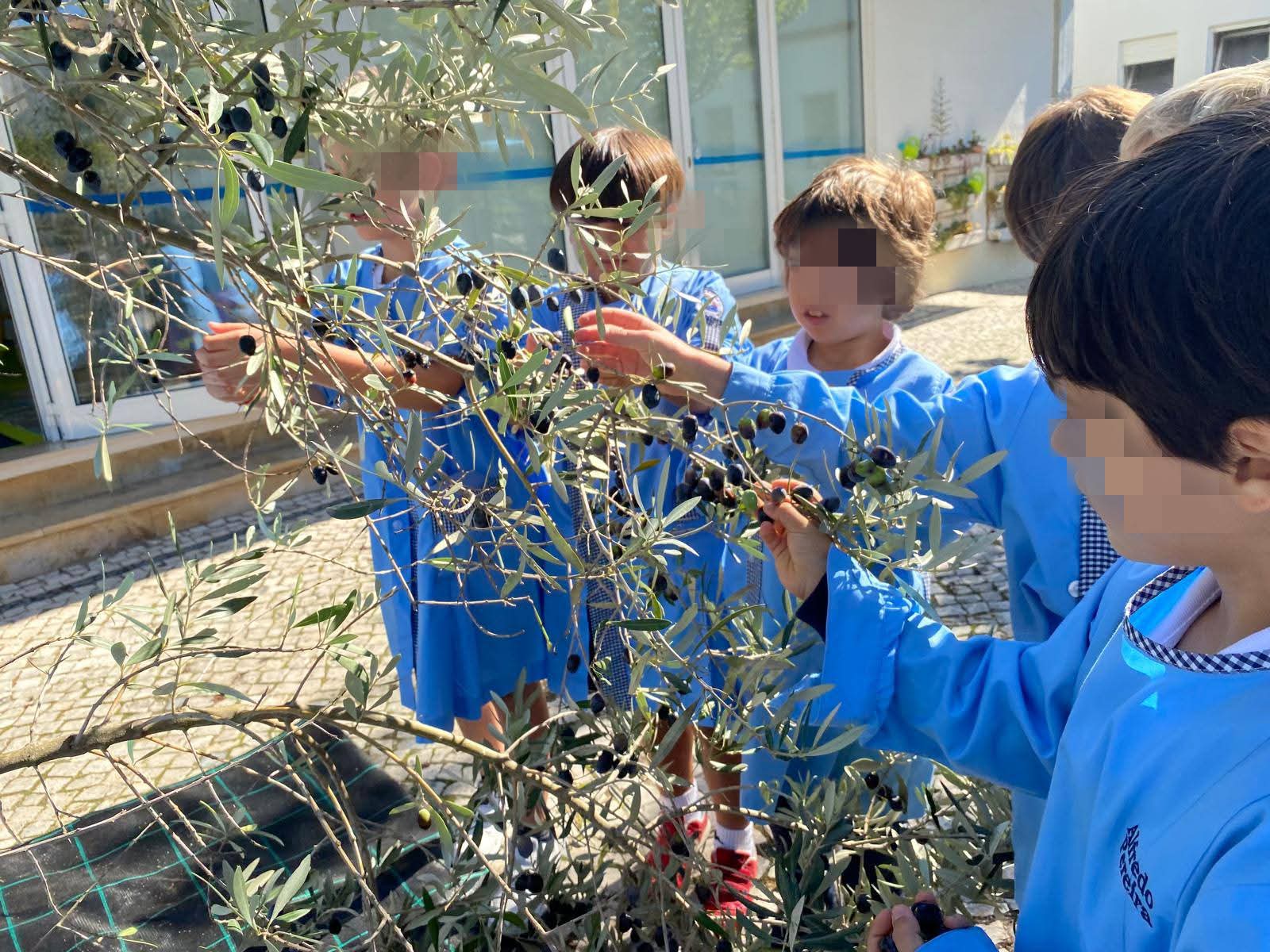 Biodiversidade e Recursos Naturais na Escola