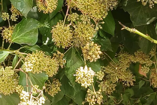 WhatsApp Image 2025-10-31 at 15.52.42 (3) WhatsApp Image 2025-10-31 at 15.52.42 (3)