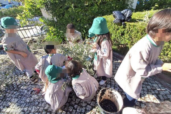 WhatsApp Image 2025-10-31 at 15.52.42 WhatsApp Image 2025-10-31 at 15.52.42