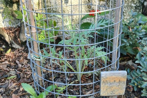 WhatsApp Image 2025-10-31 at 15.52.44 (2) WhatsApp Image 2025-10-31 at 15.52.44 (2)