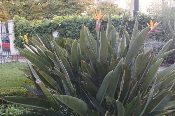 WhatsApp Image 2025-10-31 at 15.52.44 WhatsApp Image 2025-10-31 at 15.52.44