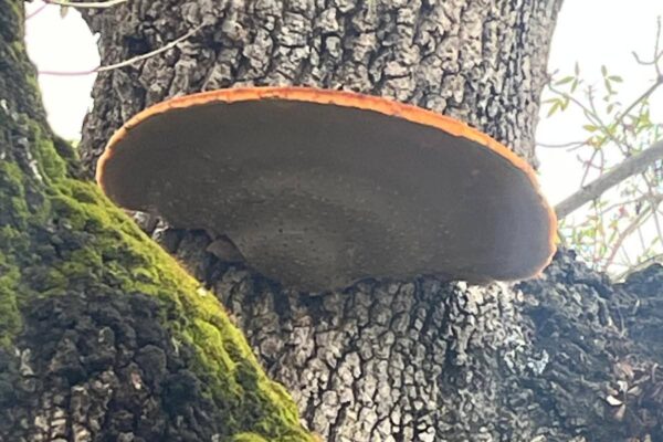 WhatsApp Image 2025-10-31 at 15.52.45 (3) WhatsApp Image 2025-10-31 at 15.52.45 (3)