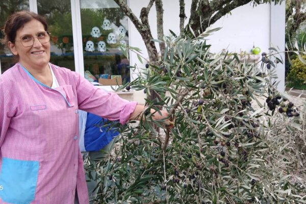 WhatsApp Image 2025-10-31 at 15.52.45 (5) WhatsApp Image 2025-10-31 at 15.52.45 (5)