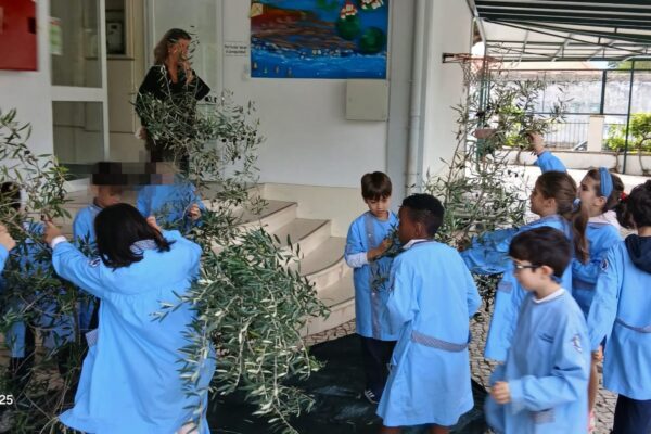 WhatsApp Image 2025-10-31 at 15.52.46 (3) WhatsApp Image 2025-10-31 at 15.52.46 (3)