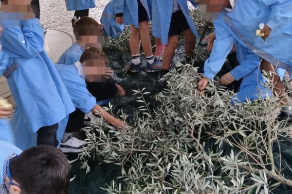 WhatsApp Image 2025-10-31 at 15.52.46 (4) WhatsApp Image 2025-10-31 at 15.52.46 (4)