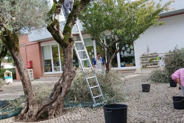 WhatsApp Image 2025-10-31 at 15.52.46 WhatsApp Image 2025-10-31 at 15.52.46