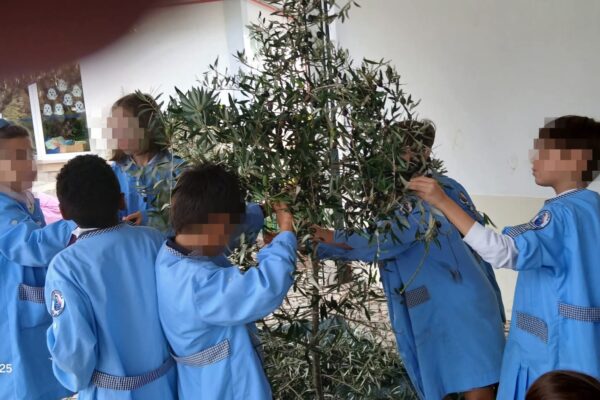 WhatsApp Image 2025-10-31 at 15.52.47 (1) WhatsApp Image 2025-10-31 at 15.52.47 (1)