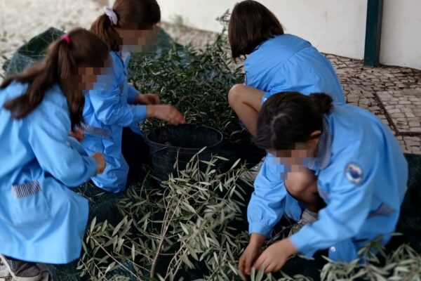 WhatsApp Image 2025-10-31 at 15.52.47 (2) WhatsApp Image 2025-10-31 at 15.52.47 (2)