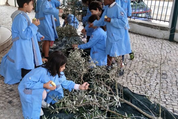 WhatsApp Image 2025-10-31 at 15.52.47 WhatsApp Image 2025-10-31 at 15.52.47