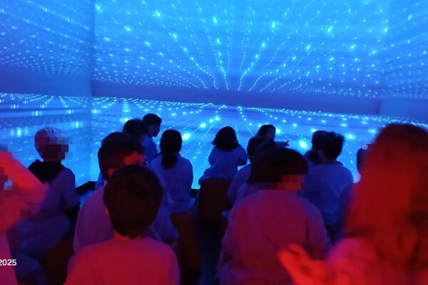 WhatsApp Image 2025-11-10 at 15.08.21 (3)