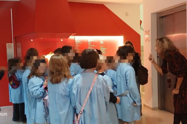 WhatsApp Image 2025-11-10 at 15.08.21