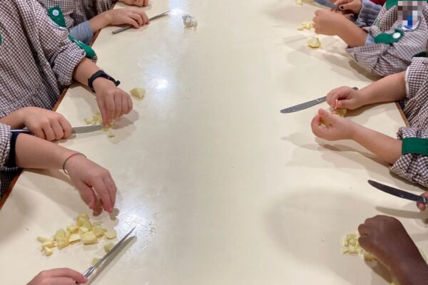 WhatsApp Image 2025-11-13 at 09.41.20