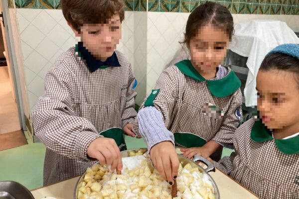 WhatsApp Image 2025-11-13 at 09.41.22