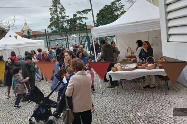 WhatsApp Image 2025-11-13 at 09.41.24