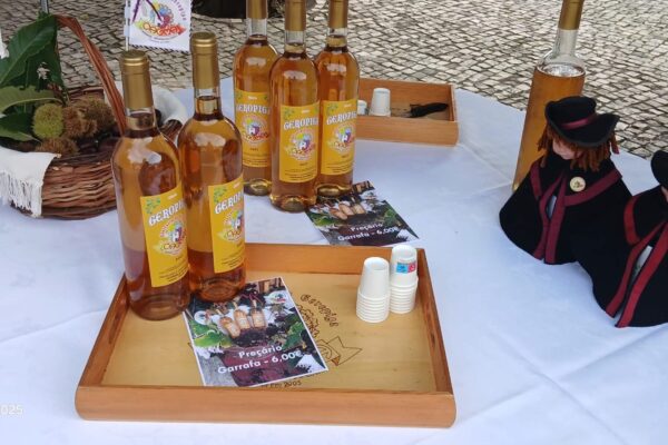 WhatsApp Image 2025-11-13 at 09.41.25