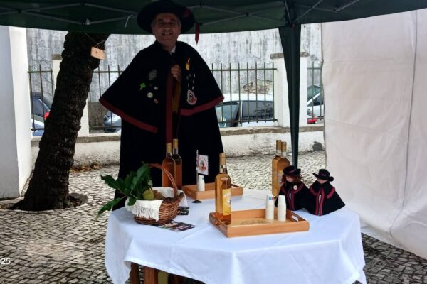 WhatsApp Image 2025-11-13 at 09.41.26 (1)