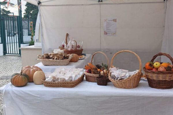 WhatsApp Image 2025-11-13 at 09.41.26 (3)