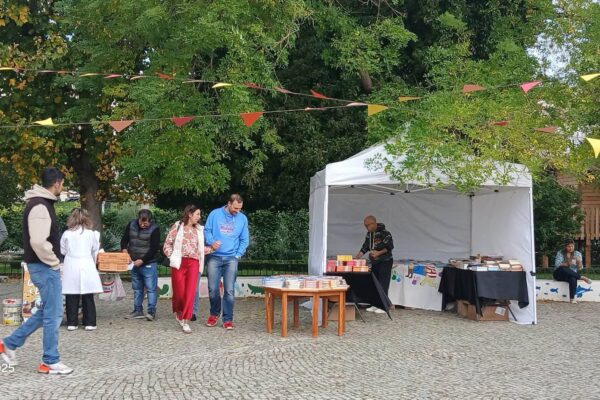 WhatsApp Image 2025-11-13 at 09.41.26 (5)