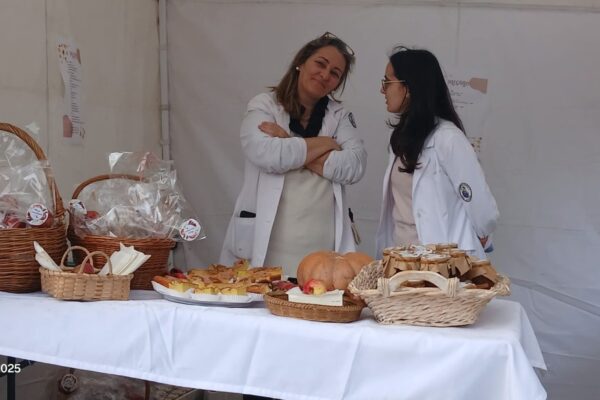 WhatsApp Image 2025-11-13 at 09.41.26