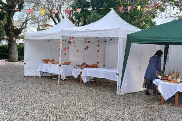 WhatsApp Image 2025-11-13 at 09.41.27