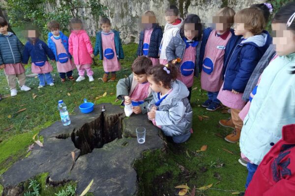 WhatsApp Image 2025-12-02 at 14.46.46 (1)