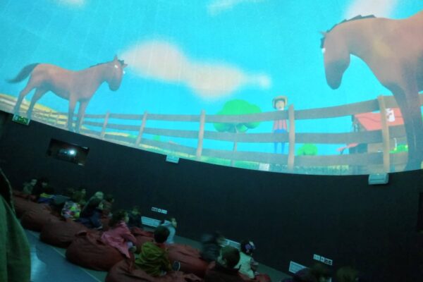 WhatsApp Image 2025-12-02 at 14.46.46 (8)