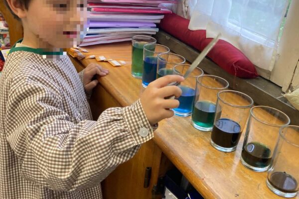 WhatsApp Image 2025-12-02 at 14.46.47