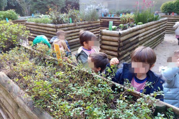 WhatsApp Image 2025-12-02 at 14.46.52 (3)