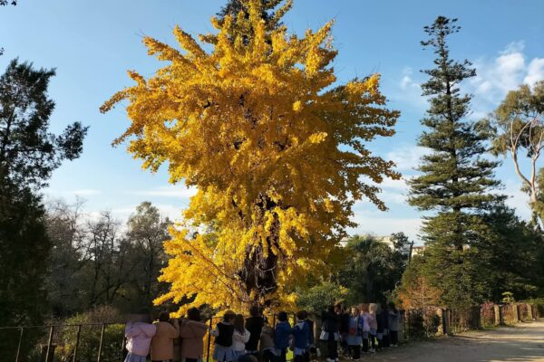 WhatsApp Image 2025-12-02 at 14.46.53 (3)