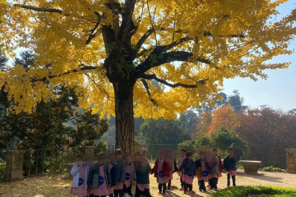 WhatsApp Image 2025-12-02 at 14.46.53 (4)