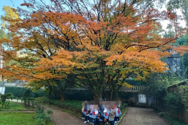 WhatsApp Image 2025-12-02 at 14.46.53 (5)