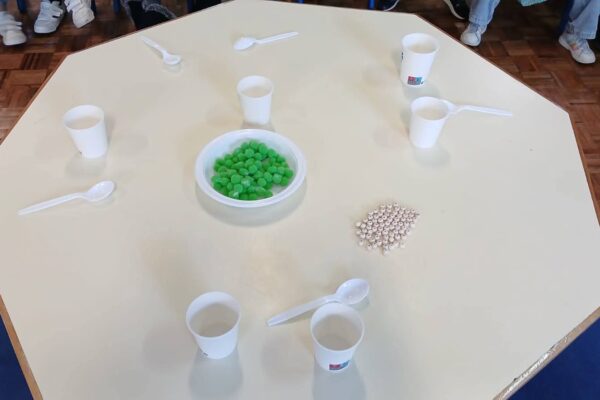 WhatsApp Image 2025-12-02 at 14.46.54 (1)