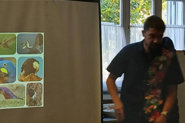 WhatsApp Image 2025-12-02 at 14.46.55 (6)