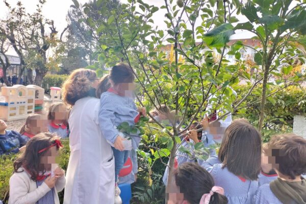 WhatsApp Image 2025-12-09 at 10.58.00