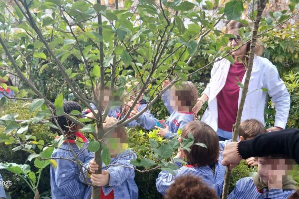 WhatsApp Image 2025-12-09 at 10.58.01 (1)