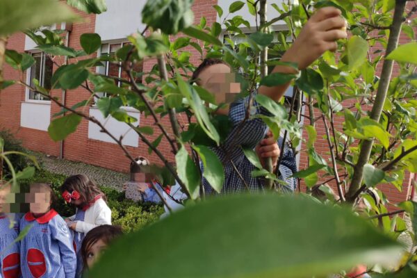 WhatsApp Image 2025-12-09 at 10.58.01 (2)